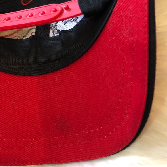 Dale Earnhardt 3 Tazmanian Devil Vintage Youth Hat - Picture 3 of 4